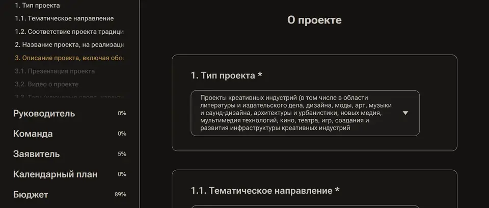 Раздел «О проекте»: тип проекта и тематическое направление